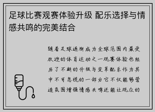 足球比赛观赛体验升级 配乐选择与情感共鸣的完美结合