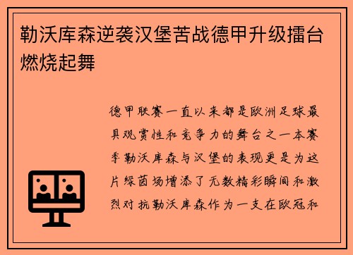 勒沃库森逆袭汉堡苦战德甲升级擂台燃烧起舞