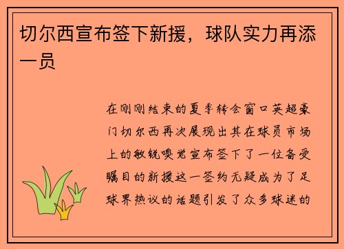 切尔西宣布签下新援，球队实力再添一员