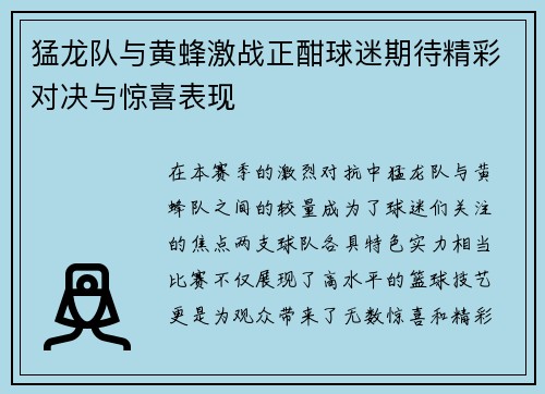 猛龙队与黄蜂激战正酣球迷期待精彩对决与惊喜表现