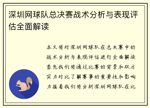 深圳网球队总决赛战术分析与表现评估全面解读