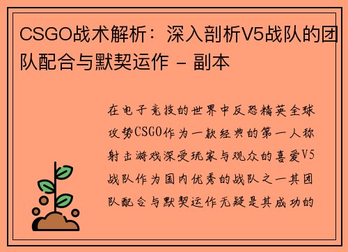CSGO战术解析：深入剖析V5战队的团队配合与默契运作 - 副本