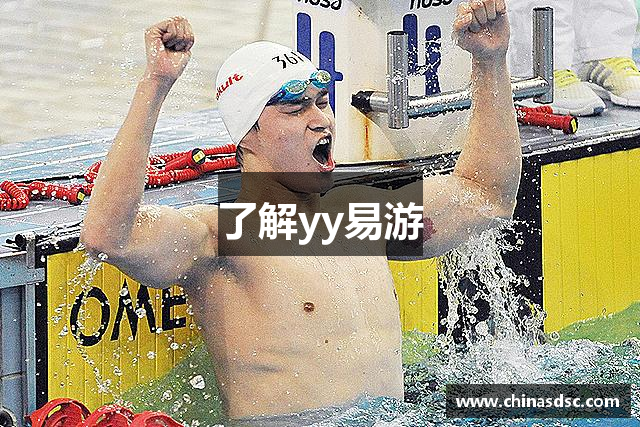 了解yy易游